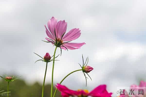 对不尊重你的人，无视远离就好