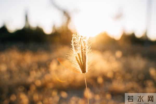别慌!你天生带财,好运马上来!