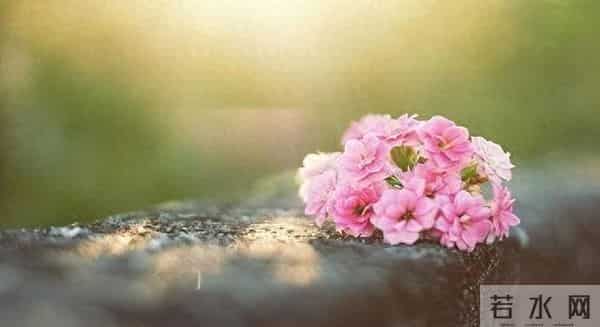 34岁清华博士讲述单身原因:优质男单到这个年纪,基本因为2个字