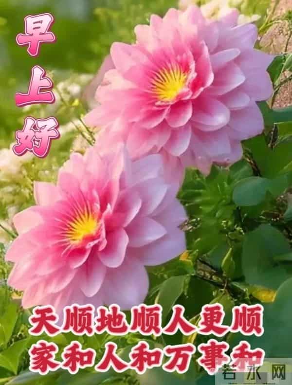 今日最新版超级好看,早上好精选图片,祝福早安吉祥!