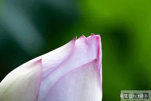 爱自己，还是自己终极的修行，活通透了，万物皆是风景