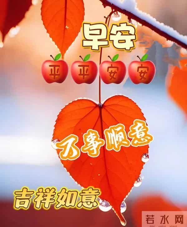 2025 年 12 月 5 日周五早安 冬日暖图寄问候 愿你今日舒心 万事顺意