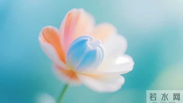 很暖很治愈的唯美句子,句句温柔,句句暖心