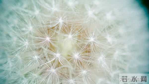 12月5日星期一，戌狗，可能会有事发生