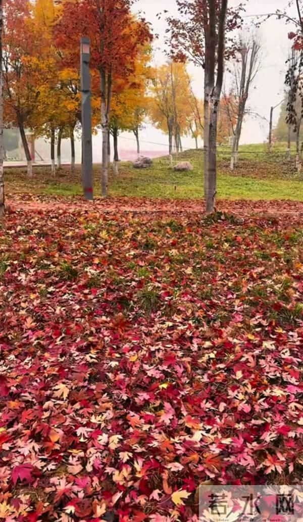 晚年幸福的星座