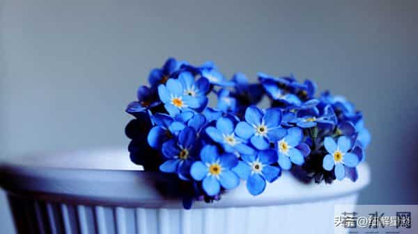 巳蛇要“笑醒”了,12月5号你将会遇见你最大的2位贵人!