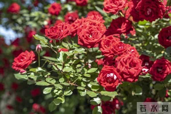 放下一个男人最好的方式