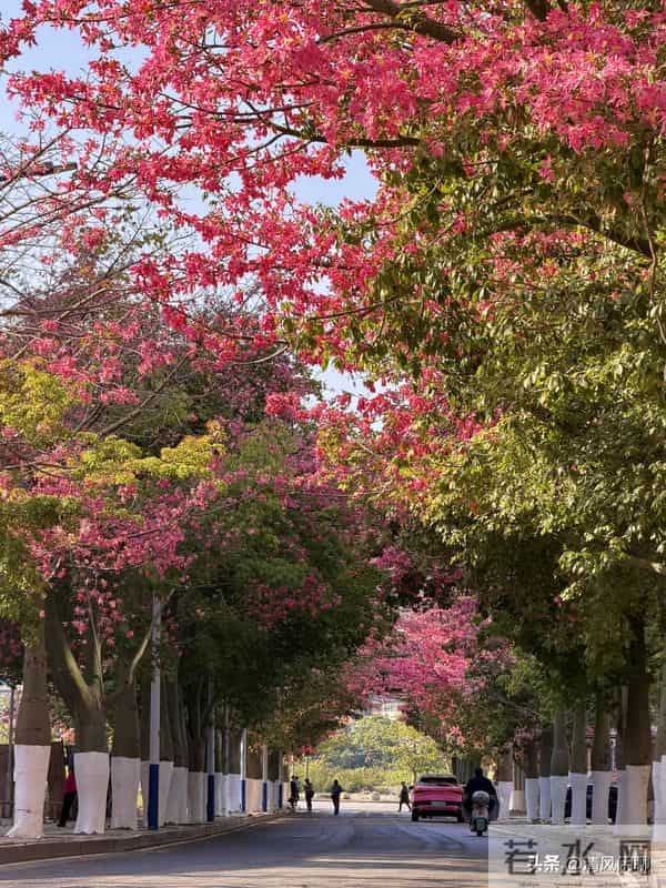 老人分两种,旺家和败家,看看你是哪一种
