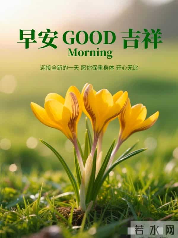 今日最新版超级好看,早上好精选图片,祝福早安吉祥!
