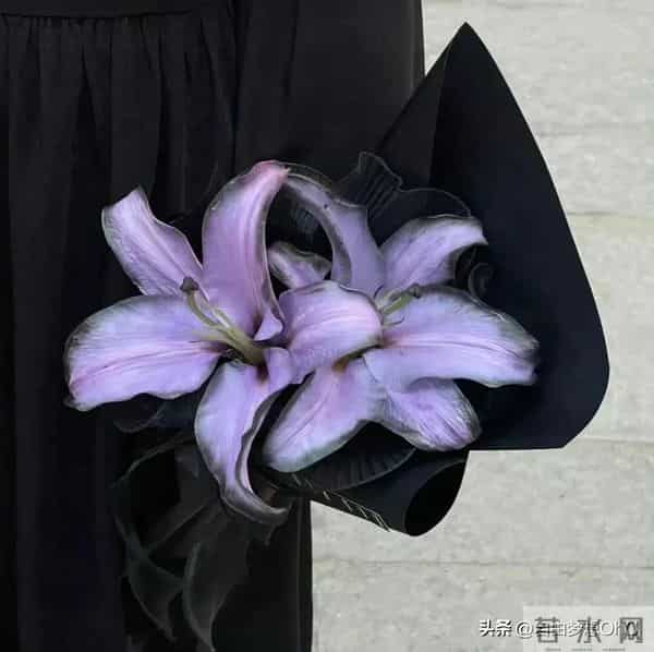 最理解你,也最能伤害你的几大星座