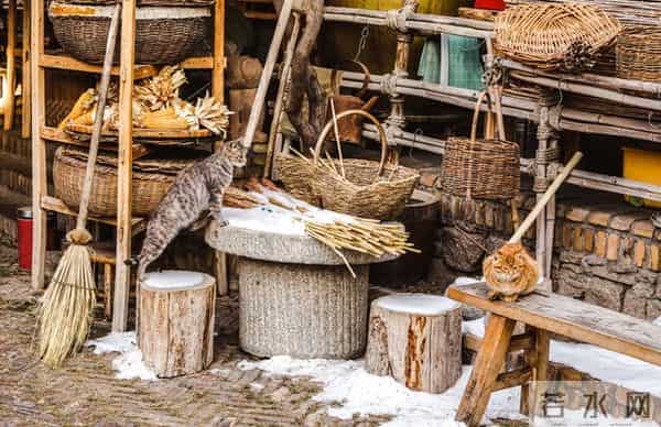 人活到通透的三个觉醒：当下即圆满，孤独即清欢，活着即顶配。