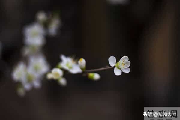 如果你处在40-55岁这个阶段,能做到以下几条,恭喜你活明白了