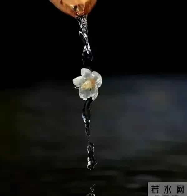 行走人世间，有一个保命的秘诀：永远不要向外展示你过得比别人好