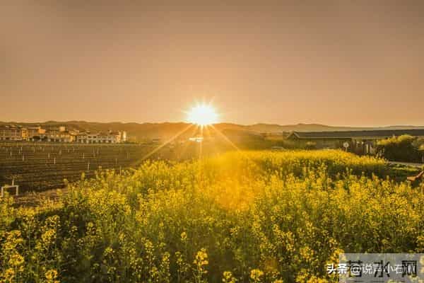 从今天起，你的好日子正式到站了，请准备签收！