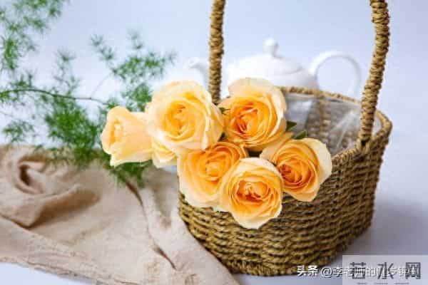 记牢4句话养好人品：心正路宽，日子越活越顺