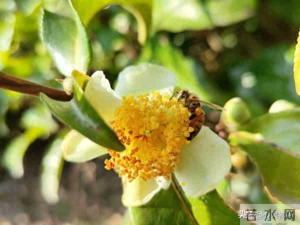 女人爱不爱你，根本不用试探！看这2点，准确率99%