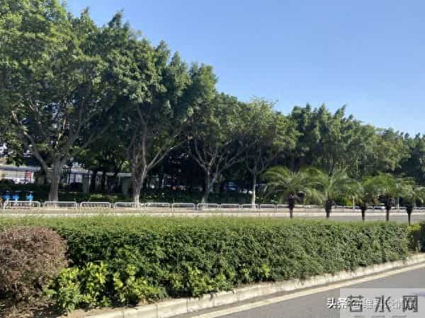 从12月5日起，您将霉运清零，余生皆顺