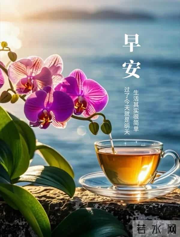 2025年12月05日早上好 早上好温馨问候祝福语 早安精美图片 周五愉快