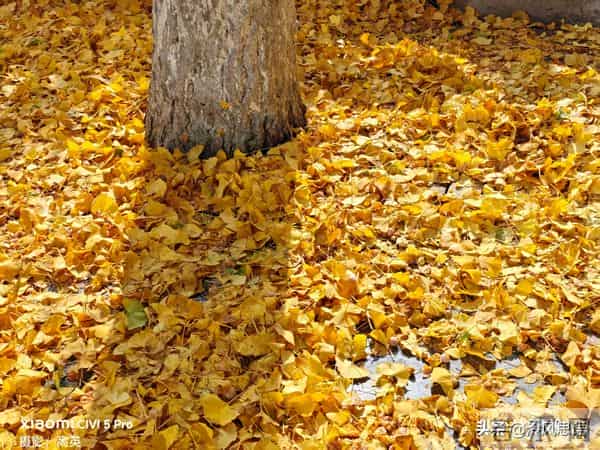 那些因至亲之人离世而产生的悲伤,难以消除但可以转化成其他能量