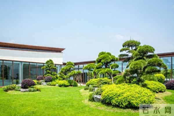 老了才明白，最幸福的往往是这三种老人，第一种就很少见