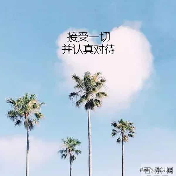 既然无缘，何须誓言。