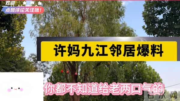 关键线索浮出水面,真相或许就藏在这里