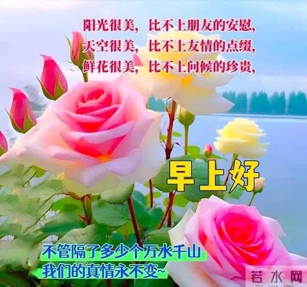早上好问候祝福图片分享｜阳光暖暖，祝福甜甜！早安快乐！