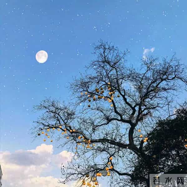 抗压力超强的星座女,再大的挫折,也打不倒她们!