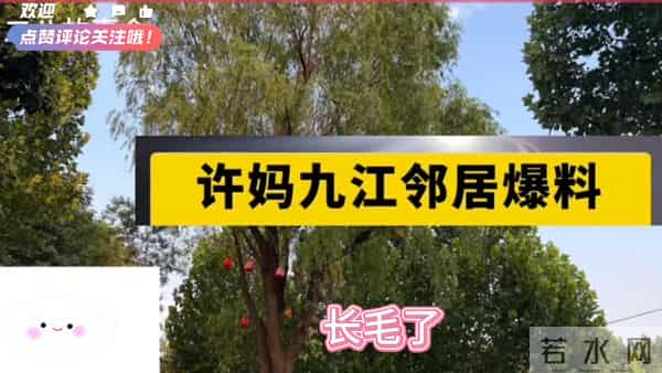 关键线索浮出水面,真相或许就藏在这里