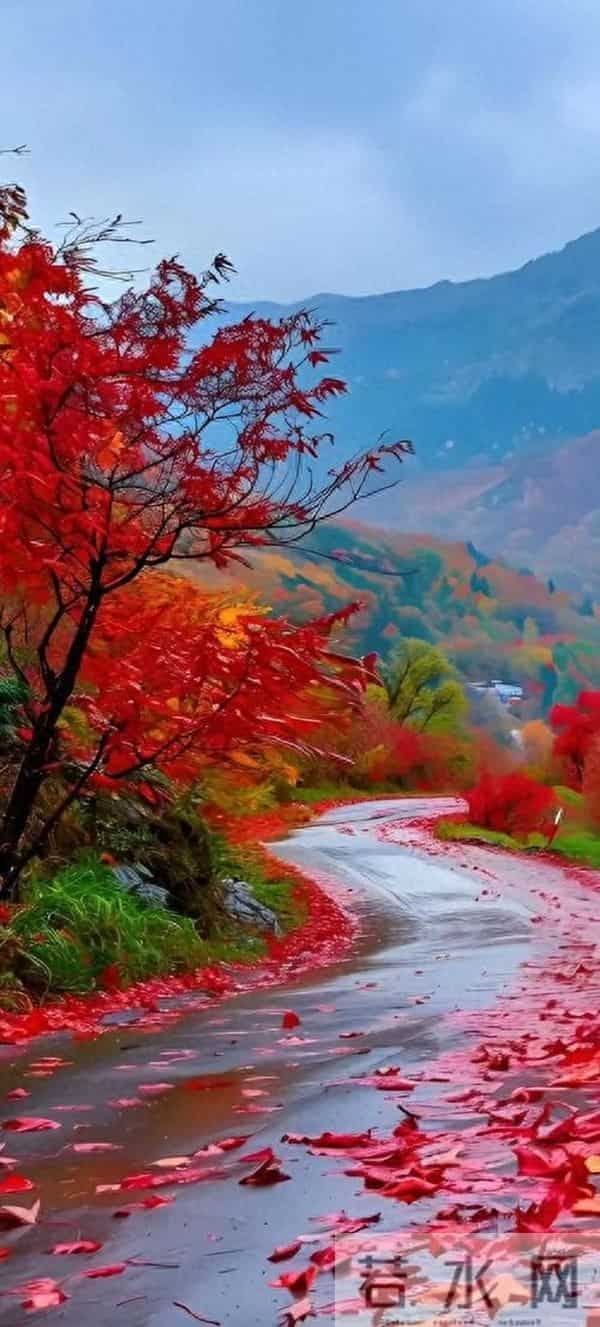 张晓磊爆款文章：《先成为自己的山，再去找心中的海》