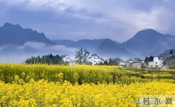 父母不在后，你会发现：真正惦记你的人，其实只剩下这三类