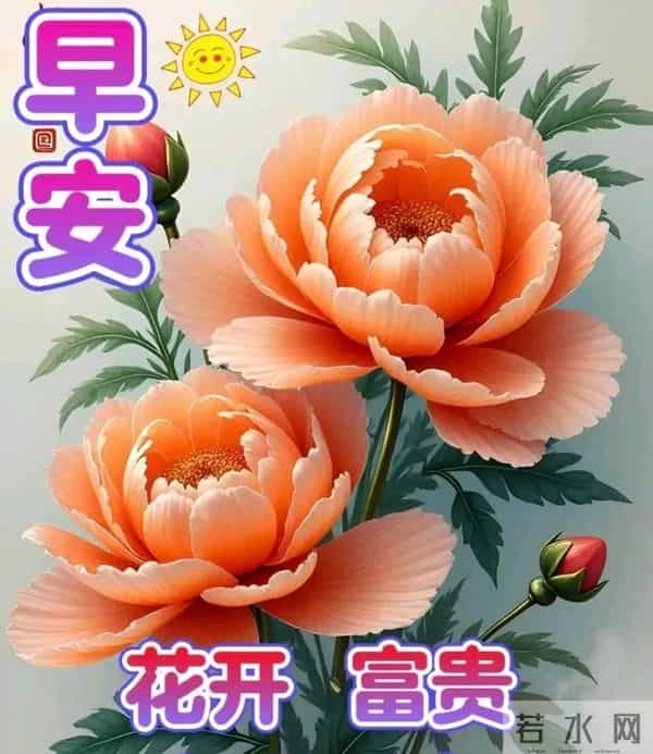 早上好问候祝福图片分享｜阳光暖暖，祝福甜甜！早安快乐！