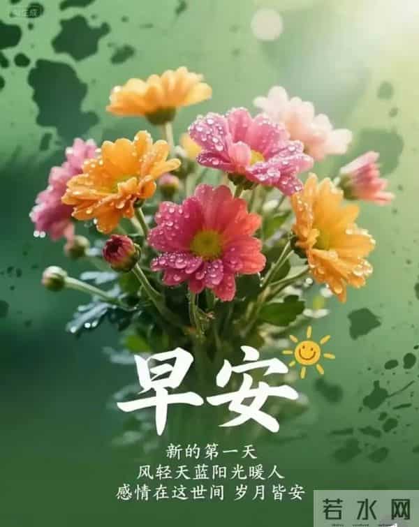 晨露缀花,早安致暖