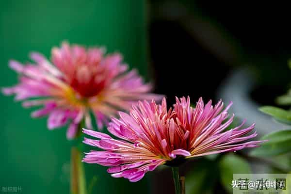 对不尊重你的人，无视远离就好