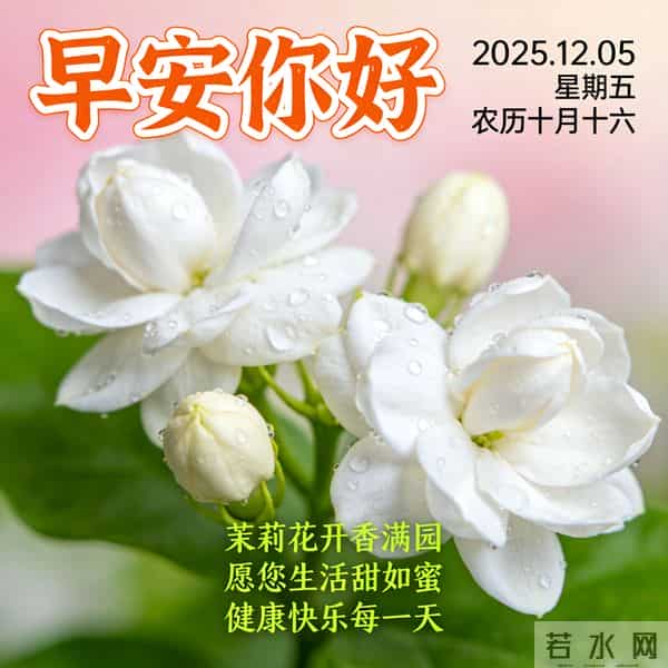 2025.12.05 早安祝福 围巾手套御寒风 亲友叮咛情意暖 早安幸福万年长