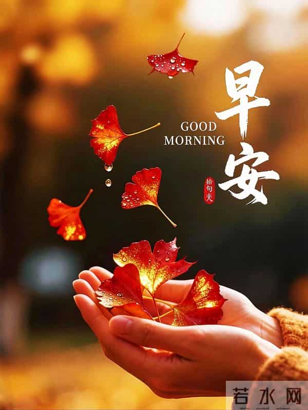 晨起纳福,愿您仓廪常满,生活丰盈;财如活水,岁岁有余。早安!