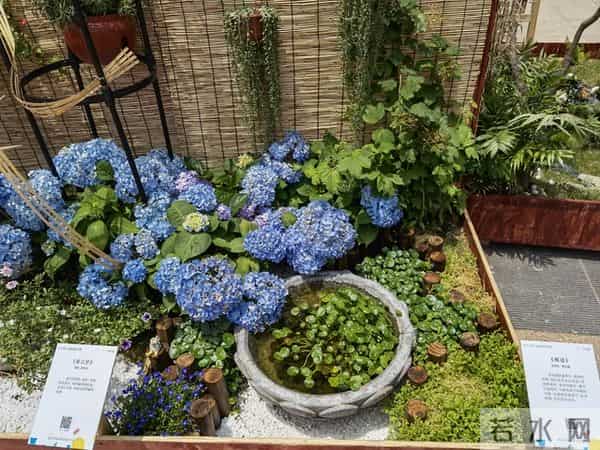 夫妻到了晚年,只要是“分房睡”,大都逃不过3个原因