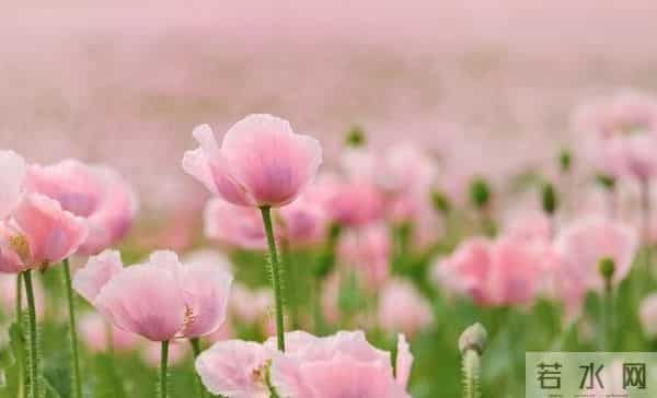 赶走我妈，公婆如愿住进来，2周后老公把人送走，再不敢嘴硬逞强