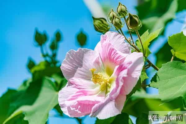 老了才明白-独来独往,没有朋友的人,往往具备这些优秀品质