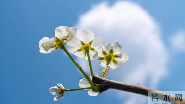 离婚6年前夫患重病,前婆婆找我出钱救人,我说好却转身离家出走