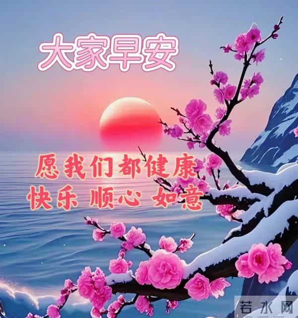 2025 年 12 月 5 日周五早安 冬日暖图寄问候 愿你今日舒心 万事顺意