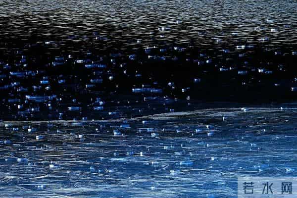 说说“贪”，其实我们每个人都很贪，只是自己不知道。