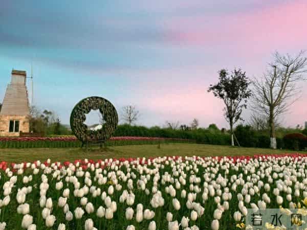 我藏不住对你的爱恋