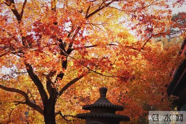 异性之间,偷偷做过这些事,就是彼此动了情