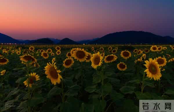 如果别人说你坏话，聪明的你会这样做，就赢了