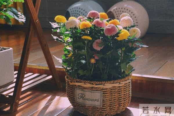 这周后惊喜不断的3大星座，存款暴涨，爱情关满，身体往往就5点！