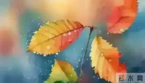 发现怪现象：越是独来独往没有朋友不合群的人，