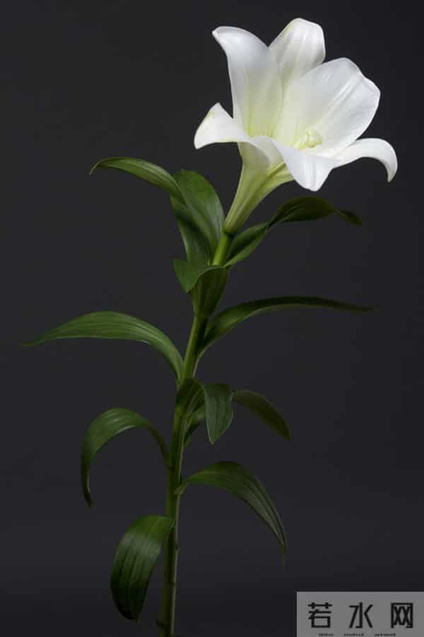 事实上,男人的三个不允许,是离不开你的标志