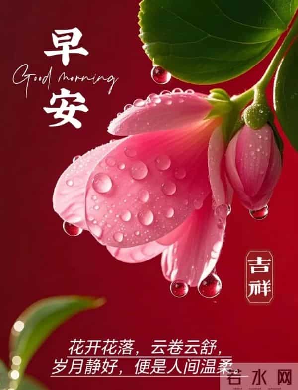 晨露与芬芳,致早安