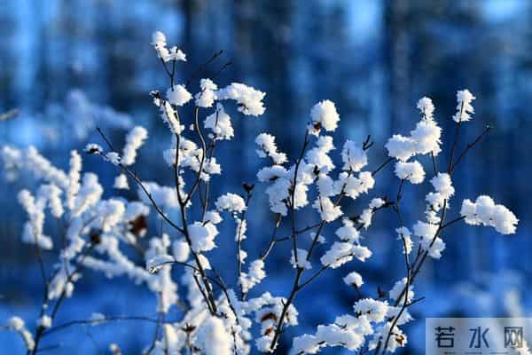 放下一个男人最好的方式